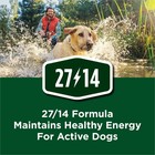 Purina Dog Chow High Protein Real Beef Dry Dog Food 44 Lb Bag
