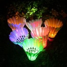 Led Shuttlecock Badminton  6 Pack  6 Color Shuttlecock Dark Night Goose Feather
