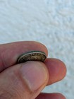 Coin 5 Centavos 1896 Puerto Rico 