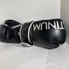 Title Boxing Gloves Platinum Xl