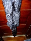 Huge Beautiful Tanned Silver Fox Fur Pelt Skin Taxidermy S4 Man Cave Log Cabin