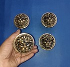 Lion Glass Door Knob Brass Jungle Beast Office Door Pull Set Of 04 Pieces Gtx