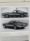 Lot Of 7 Vintage Ford Mustang Promo Photos 1960s   1970s Gt500 Shelby Indy 500