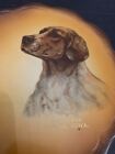 Antique English Setter Dog Portrait I Bark For Luana Iowa Souvenir Plate