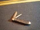 Antique Clark s Xlt  Mother Of Pearl Knife   Unknown Bone Scale Knife