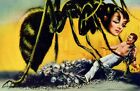 The Wasp Woman  1959  Half Sheet 22 x28  Cult Sci-fi horror Movie Poster 
