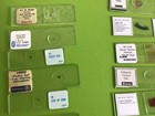 Mixed Lot Of 62 Biology Human Tissue   General Bio Fixed Microscope Slides