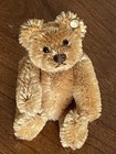 Wow Vtg Miniature Caramel Brown Jointed Steiff Baby Bear Mohair 3 5    W button  