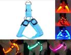 Usb Rechargeable Chest Harness Led Pet Dog Glow Flashing Light-up Night Safety