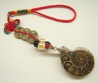 Feng Shui Chinese Snail Ammonite Lucky Charm