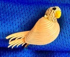 Darling  Vintage Hand Made Parrot Earrings-all Sea Shells W rhinestones