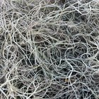 1 Gal  Fresh Florida Live Spanish Moss Air Plant Decorative Garden Craft Basket
