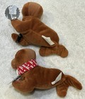 Vintage Coca-cola Walrus Bean Bag Plush Lot 2 1997-98  0124  0135 Tags