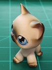 Littlest Pet Shop Lps  5 Black White Siamese Shorthair Cat  Blue Eyes Authentic