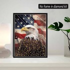 Skryuie Diy Diamond Art Kits For Adults Eagle 40 64 Centimeters  Special1 
