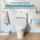 Electric Bidet Toilet Seat - Heated Seat   Water   Wireless Remote   Elongated