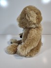 Gund Weiscott Teddy Bear Brown Honey Tan Stuffed Plush Animal 15377 19 
