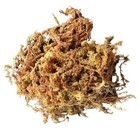 Long Fiber Sphagnum Moss For Plant Garden And Decor  432 Cu  In 