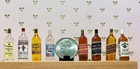 Dollhouse Miniature Alcoholic Beverage Bottles - 1 12 Scale - Choice Of 1