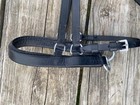 English  Jumping   Schooling Hackamore Black Leather Tough 1