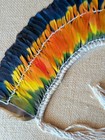 Amazonian Brazilian Indigenous Kayapo Macaw Feather Krokroti Headdress 