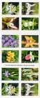 2020 Usps Sheet Of 20 First Class Letter Stamps Wild Orchids 78  