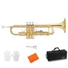 Glarry Gold Brass Bb Trumpet   Case Cloth Gloves Student School Band