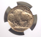 1913  p  Indian Head Buffalo Nickel  type 1  5c Ngc Ms65  005 Gem Bu Ecc c  Inc 