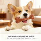 Beef Bacon Flavor Dog Chew Toy Realistic Bone Shape Tough Indestructible Pet Mol