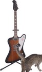Epiphone Firebird Electric Guitar - Vintage Sunburst - Cracked Neck