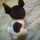 Ty Beanie Baby - Portia The Terrier Dog  6 Inch  Stuffed Plush Animal Toy Mwmts
