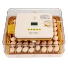 56 Egg Incubator With Auto-turning Hatching Temperature   Humidity Control White
