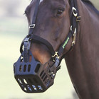 Green Guard Grazing Muzzle