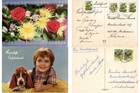 Suriname Surinam  43 Postally Used Modern Postcards  l7191 