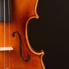 Copy German Steiner Style high Arch master Model M21  4 4 Violinspecial Offer