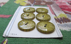 Vintage 2-tone Light Green Bakelite Buttons By Schwanda On Original Card