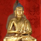 7 6  Old Tibet Bronze 24k Gold Gilt Buddhism Shakyamuni Amitabha Buddha Statue