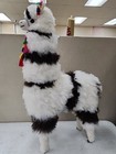 New 39  Tall Large Alpaca Toy Display Made From Real Alpaca Fur White brown