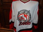 Vintage No Excuses White Sewn  17 New Jersey Bandits Minor League Ahl Jersey L