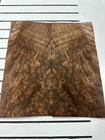 European Walnut Burl Raw Wood Veneer 2 Sheets 16 5   X 7 5   331dd