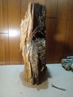 Taxidermy Base   Creative Carvers 