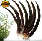 50pcs Rooster Tail Feathers 12-14  Natural Coque Feathers Craft Decor