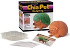 Chia Pet Hedgehog With Seed Pack  Decorative Pottery Hedgehog  Terra Cotta 