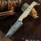 8 7  Full Tang Fixed Blade Damascus Tactical Camping Knife Resin Handel   Sheath
