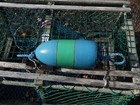 Free Ship 200 Maine Lobster Buoy Nautical Pot Bouy Float Shore Crab Lake Cape
