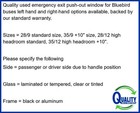 022503 Emergency Exit Push-out Window For Blue Bird  166593  6933907