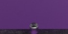 Pickguard Fender American Elite 5 String Jazz Bass V Purple Mirror