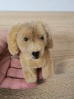Vintage Steiff Dog  10 Cm  Mohair  Glass Eyes  1950s 60s  Collector s Item