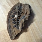 Antique Mongolian Tibetan Buddhist Various  Clay Tsa Tsa  Fragments