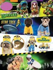 Rubie s Despicable Me Minion Stuart Knit Dog Headpiece  Small medium